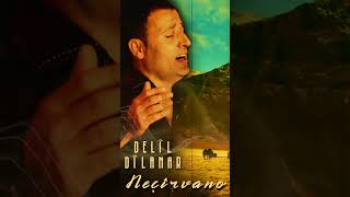 Delîl Dîlanar - Mistê Kalo