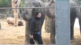 MVI_5731.AVI