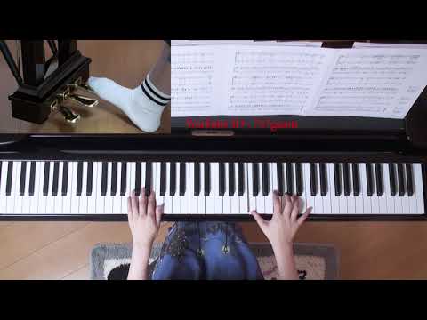 Believe ピアノ 伴奏 杉本竜一