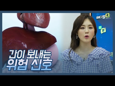 침묵의 장기, 간이 보내는 위험 신호! | 메디컬 해시태그 / 쿠키건강TV