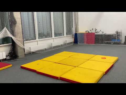 DRL-BASED DRONE LANDING