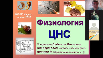 ФЧЖ 4 курс лекции 9-10 обучение и память