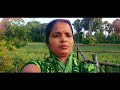 ସବୁ ଦିନିଆ କାମ #manorama #villgecooking