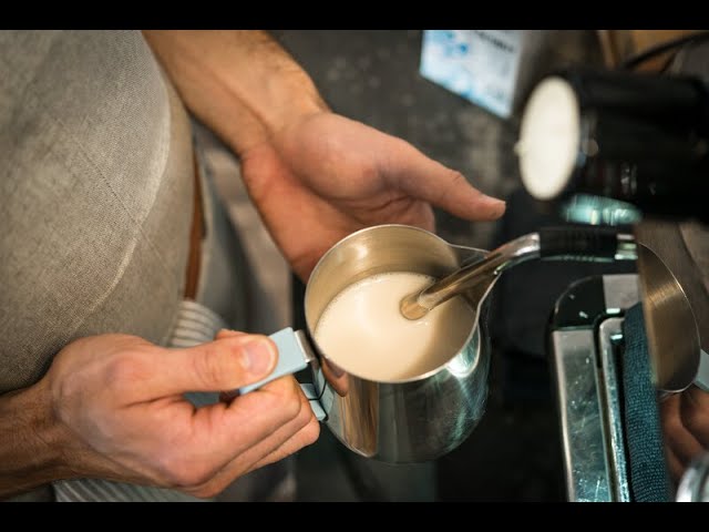 The Difference Between Steaming and Frothing Milk - Barista Skills