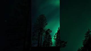 🌌 Mystical Aurora ✨ Northern Lights Ambience | Deep Sleep &amp; Relax #Shorts