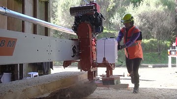 The Easiest Sawmill You’ll Ever Use 🌲🪚