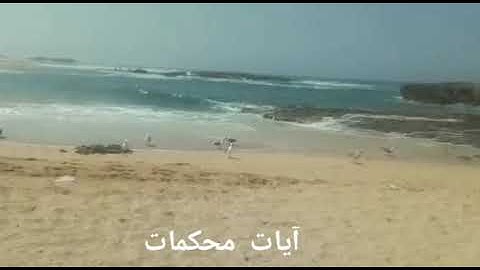 صوت يريحك نفسيا كانك تسمع القرآن الكريم لأول مرة