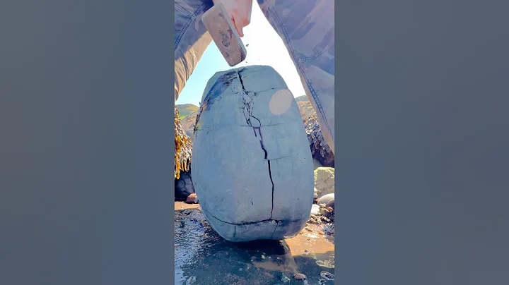 HUGE Rock CRACKED For Fossils! - DayDayNews