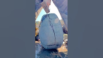 HUGE Rock CRACKED For Fossils!