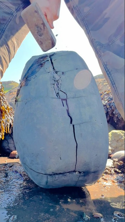 HUGE Rock CRACKED For Fossils!