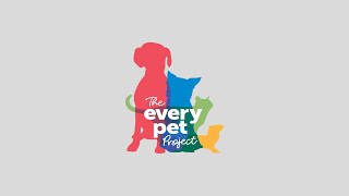 The Every Dog Project Is Now The Every Pet Project
