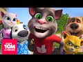 Season 4 Binge! 🥳 Talking Tom & Friends Cartoon Collection