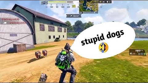 why CoD Narco hate K9 Unit | CoD Narco VS K9 Unit | Narco angry on K9 unit !!! #CODM #COD #FUNNY