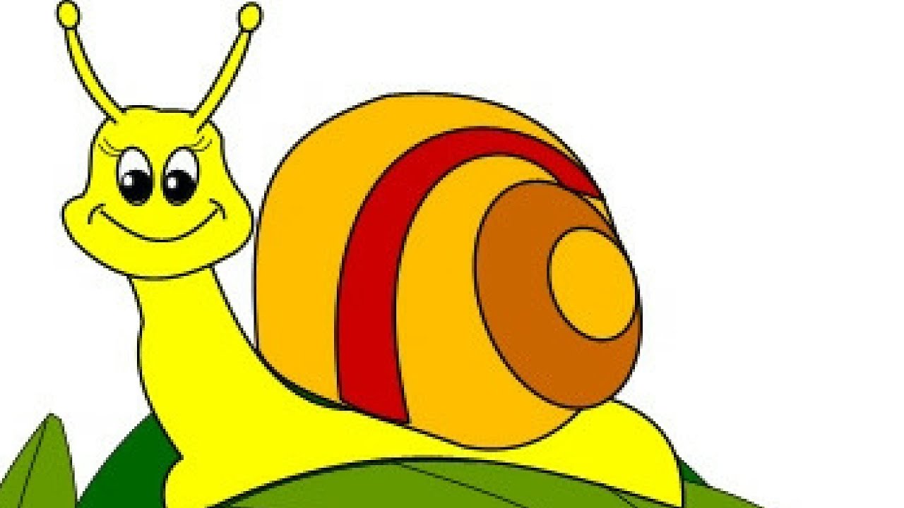 Картинка улитка для детей на прозрачном фоне для детей