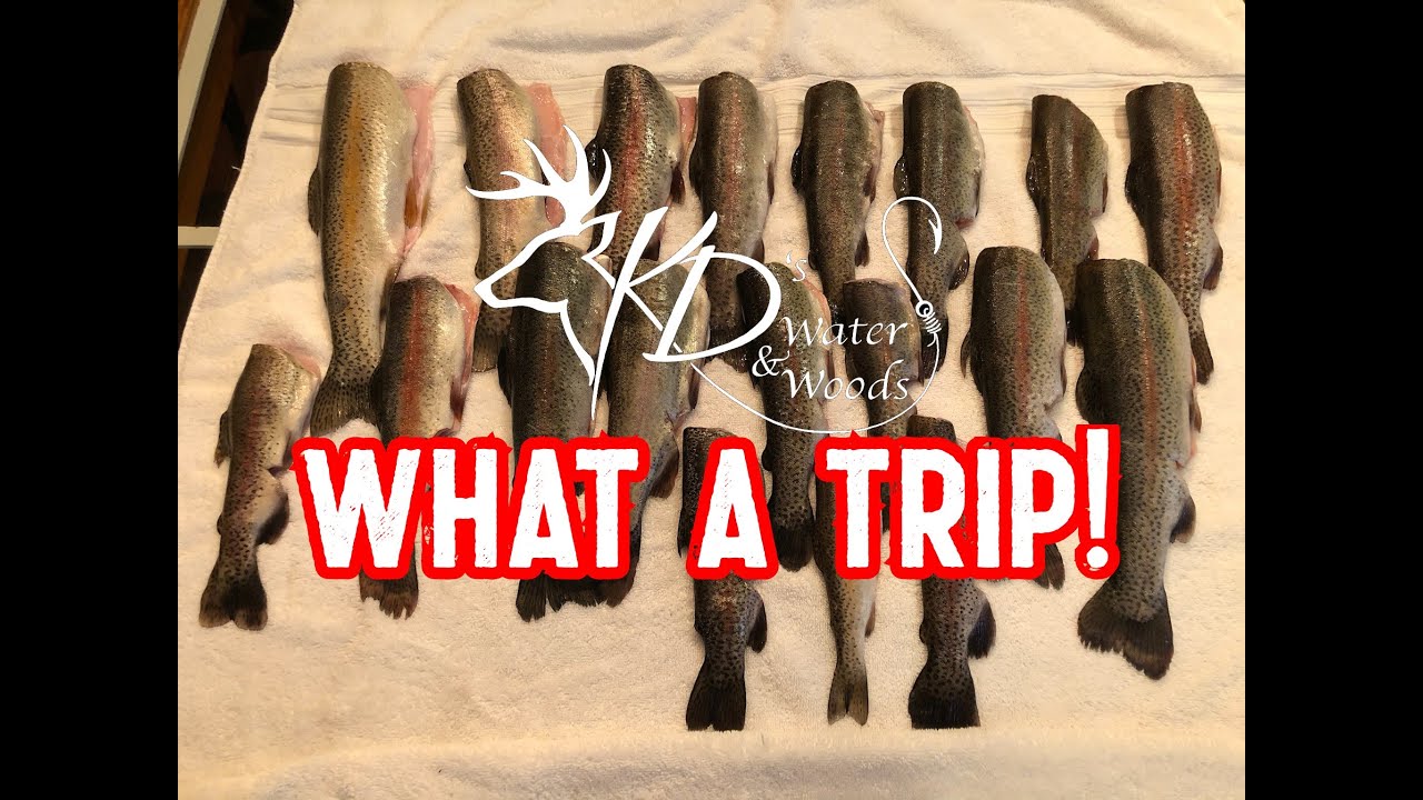 TROUT FISHING NORTH (Part 3) YouTube