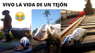 VIVO LA LOCA VIDA DE UN TEJÓN XD !!!  Red Dead Redemption 2