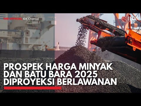 Prospek Harga Minyak dan Batu Bara 2025 Diproyeksi Berlawanan | IDX CHANNEL