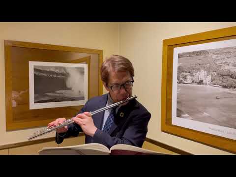 藤野年喜 Flute 「手をとり合って」（ドン・ジョヴァンニより）W.A.モーツァルト　K.527