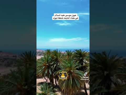عين موسى عليه السلام مقنا تبوك السعوديه نيوم
