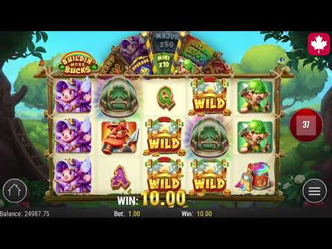 Waarom Kiezen voor Play'n GO Slots?