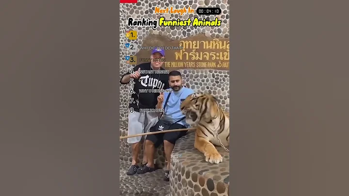 Watch the video about Ranking Funniest Animal Moments 🤣 | Try Not To Laugh 🤣