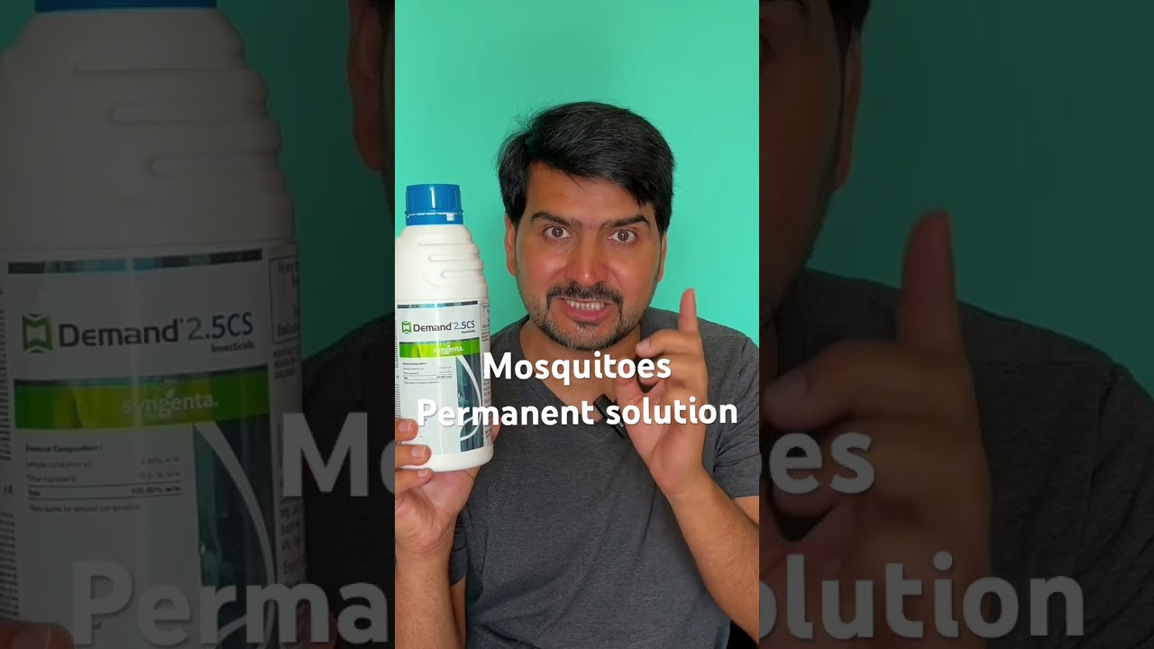How to get rid of mosquitoes at home | best mosquito spray for home #mosquitocontrol #insectcontrol