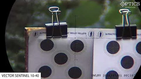 Comparing Budget Benchrest Scopes
