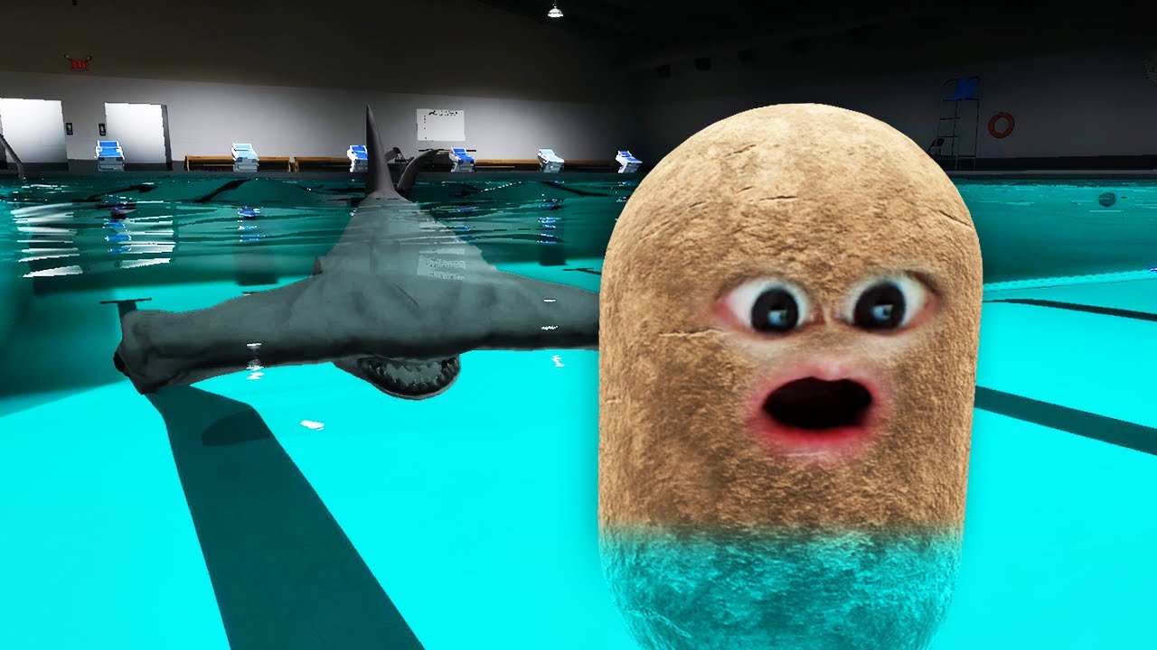 殺人サメがいるプールに閉じ込められた..