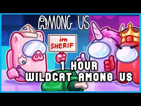 Wildcat Among Us Compilation #13 - 1 Hour - VanossGaming Compilation No Sponsors and End Cards