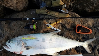 Queen fish 4 695kg on megabass zonk 120 sw orange