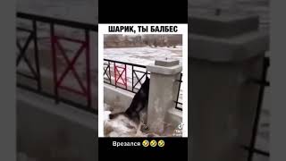 шарик в не ту дырку попал 😂