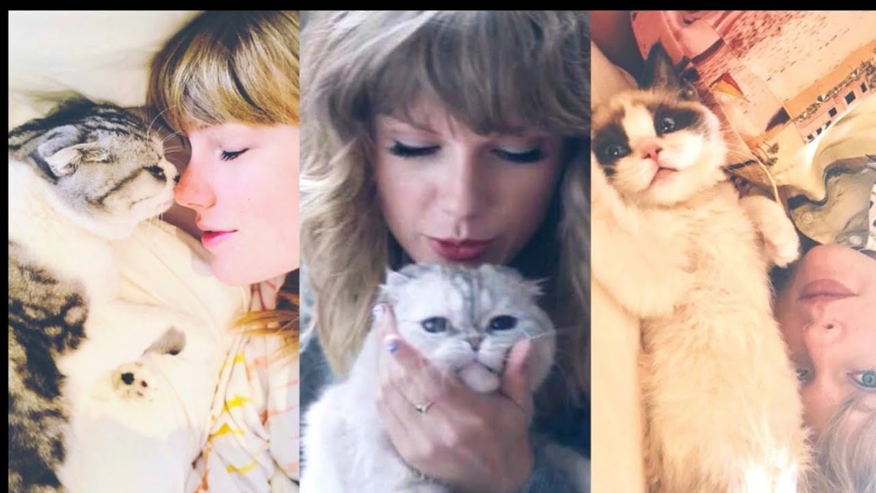 famous-hollywood-celebrities-who-are-cat-lovers-part-1-taylor-swift