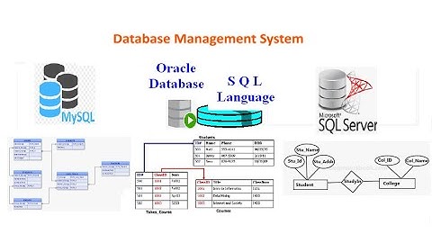 Video Database ER Model design Relationship Degree Cardinality & Mapping to Relational Model Part1