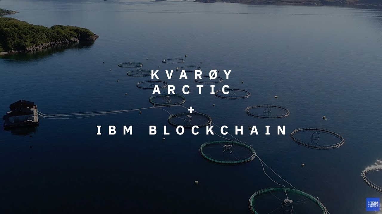 Ending Seafood Fraud with IBM Blockchain Technology
