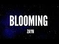 Blooming Zayn Lyrics 