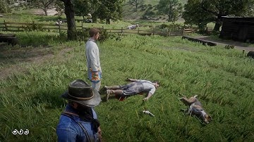 Every Player Should Try This At Least Once After Saving Jamie Gillis - RDR2