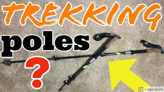 Should you use trekking poles? | Advantages and Disadvantages