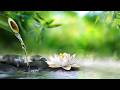 Soul Therapy - Gentle Spa Music Designed to Melt Your Worries Away | Relaxing Music for Healing