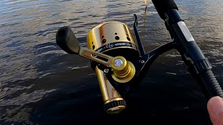 Daiwa Underspin closed face spinning reel.