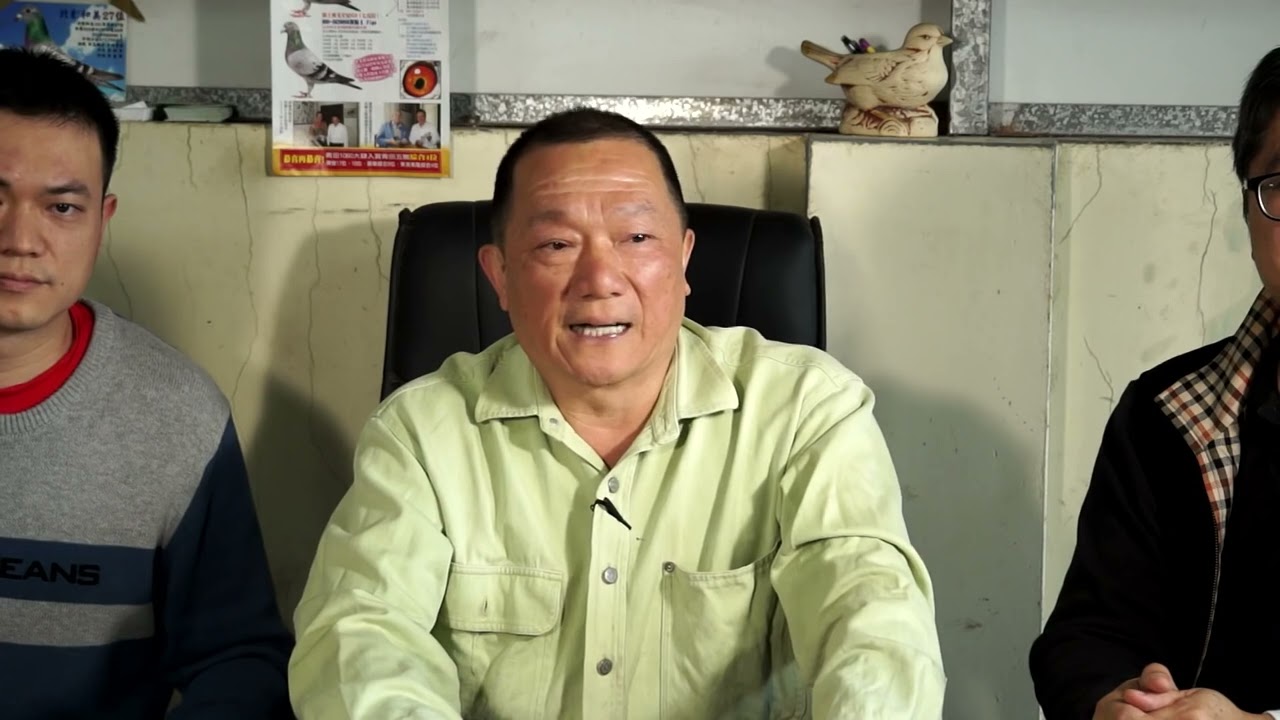 誠心世界名鴿 康炳堯 專訪 1