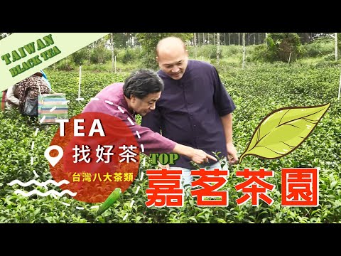 【台灣八大茶類系列】-蜜香紅茶的故鄉花蓮瑞穗  嘉茗茶園