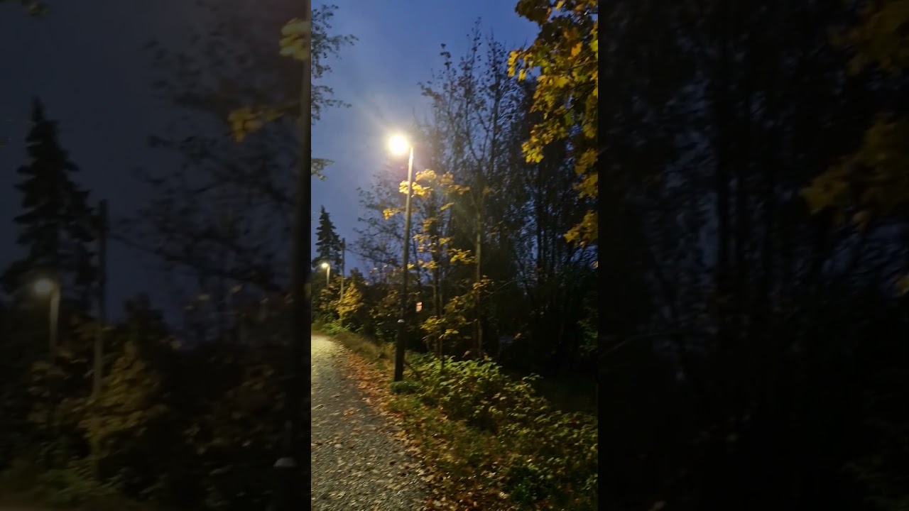 Fall in Oslo: Nature, Culture