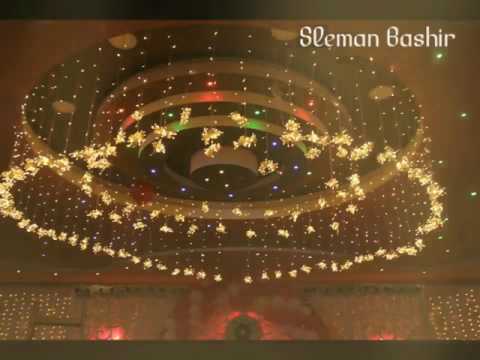 بريموو صاله وايت فلور