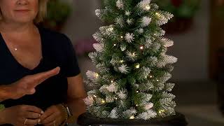 Bethlehem Lights Greenery with 3-in-1 Micro LEDs on QVC