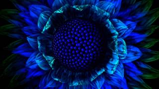 Version 3 of the video