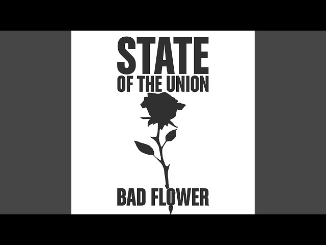 State of the Union - Bad Flower (Aircrash Bureau Remix)