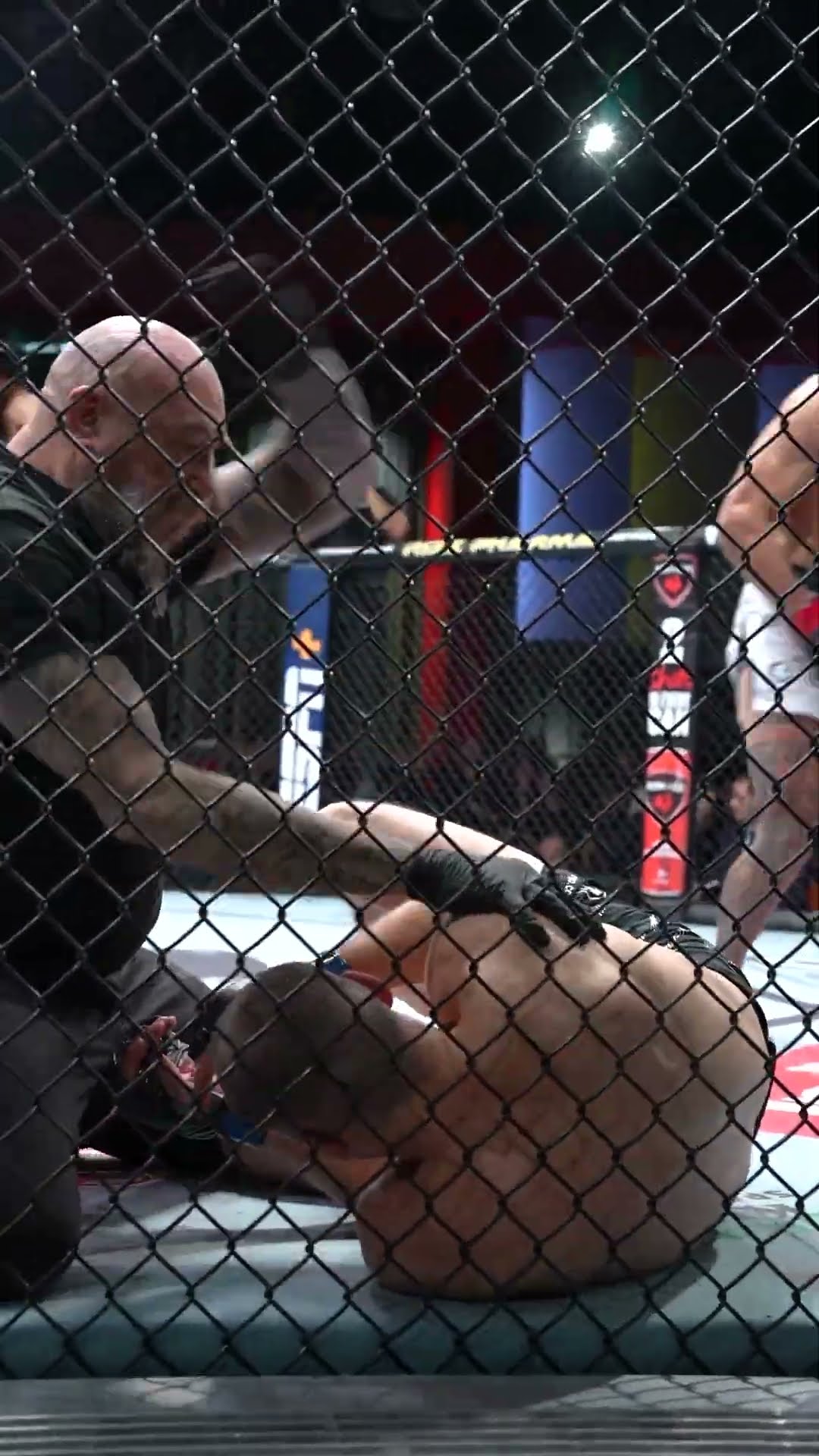 OH MY GOD PUNA DID THAT ? #UFCVegas101
