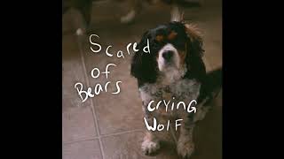 Scared Of Bears - Get Lost