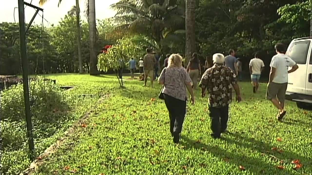 Papaikou Mill Beach site visit, public hearing YouTube