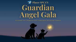 2026 Guardian Angel Gala Video